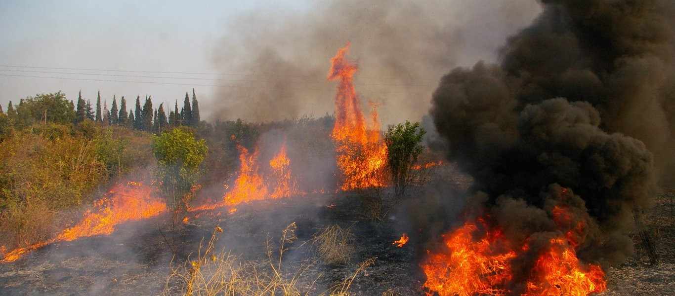 Σε ύφεση η φωτιά στο Κρυονέρι Αττικής - Δεν απειλούνται κατοικημένες περιοχές (φωτό, βίντεο) (upd)